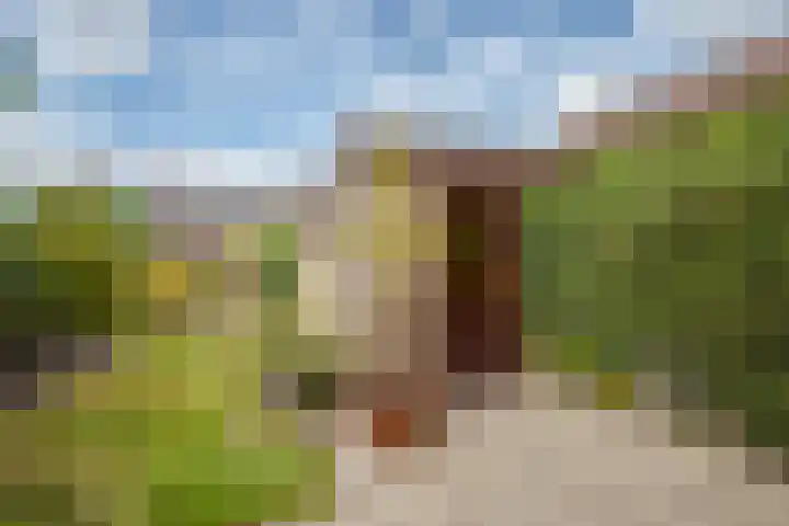 Zwanenwaay 36 Babberich thumbnail 38