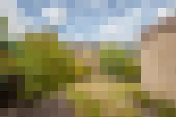 Zwanenwaay 36 Babberich thumbnail 40