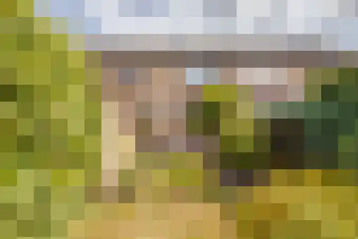 Zwanenwaay 36 Babberich thumbnail 41
