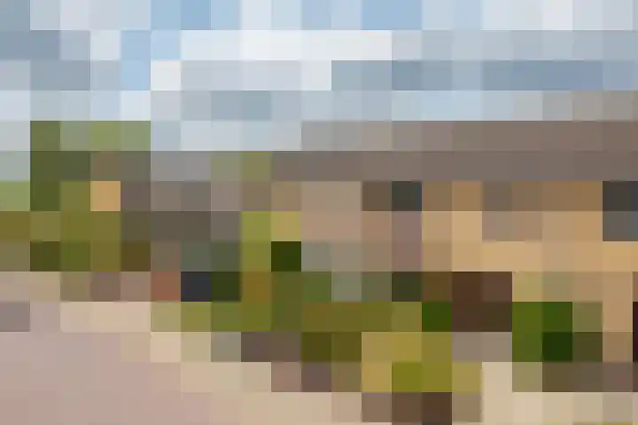 Zwanenwaay 36 Babberich thumbnail 42
