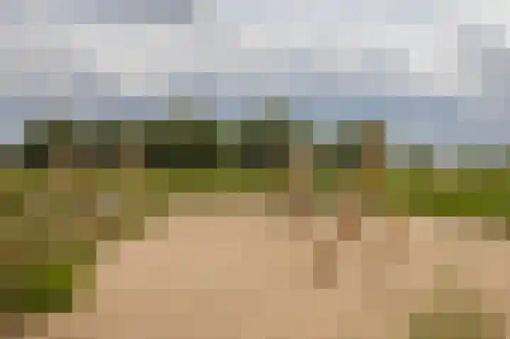 Zwanenwaay 36 Babberich thumbnail 5