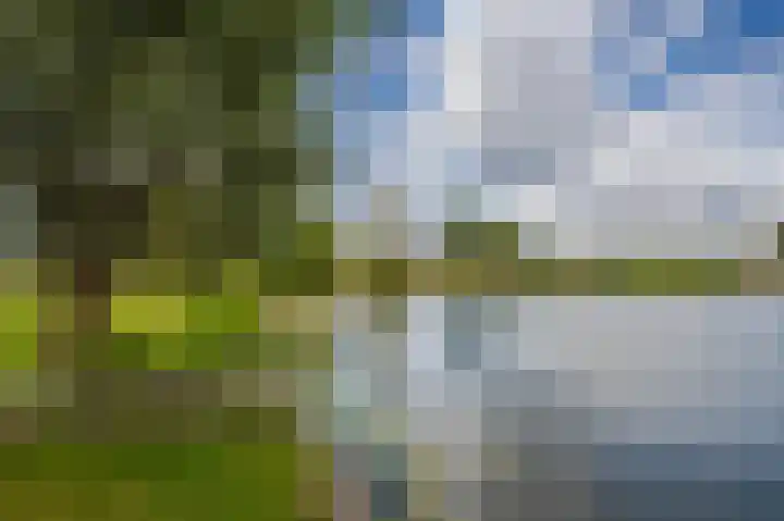 Zwanenwaay 36 Babberich thumbnail 7