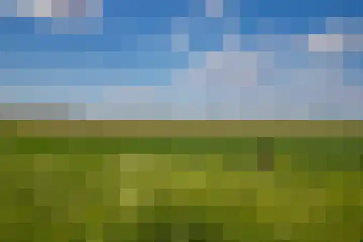 Zwanenwaay 36 Babberich thumbnail 8
