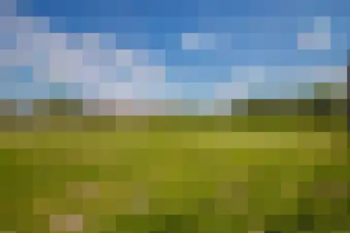 Zwanenwaay 36 Babberich thumbnail 9
