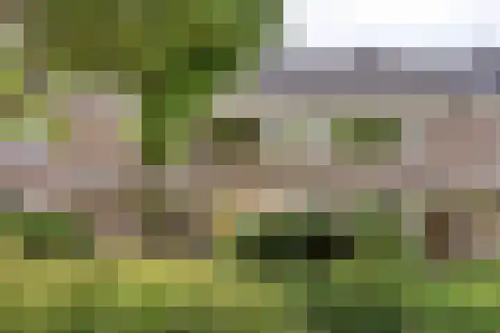 Zwanenwater 13 in Nieuw-Vennep