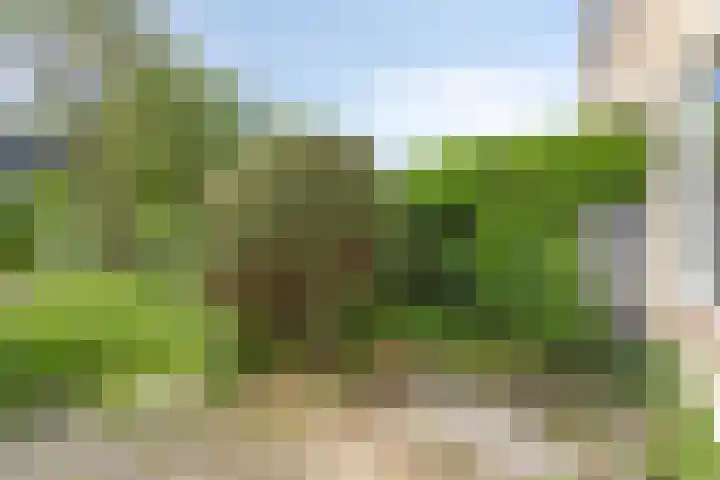 Zwanenwater 13 Nieuw-Vennep thumbnail 41