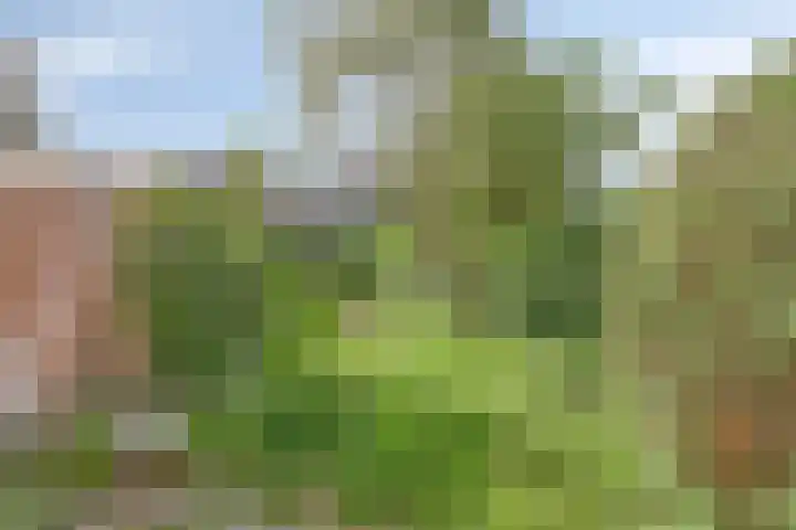 Zwanenwater 13 Nieuw-Vennep thumbnail 43