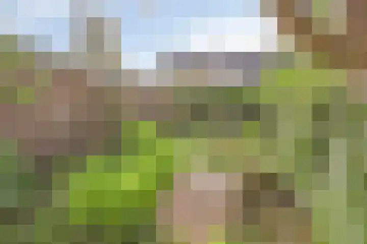 Zwanenwater 13 Nieuw-Vennep thumbnail 44