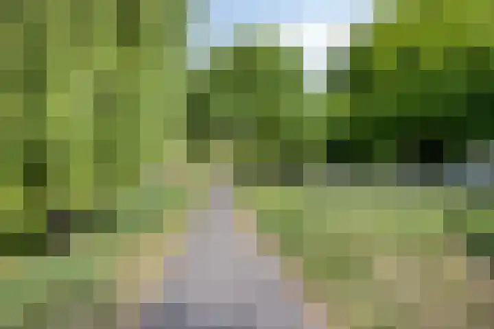 Zwanenwater 13 Nieuw-Vennep thumbnail 46