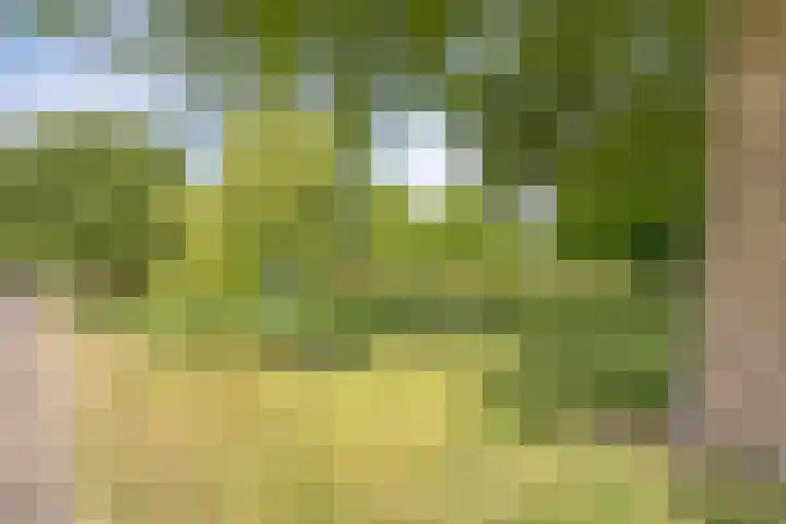 Zwanenwater 13 Nieuw-Vennep thumbnail 47