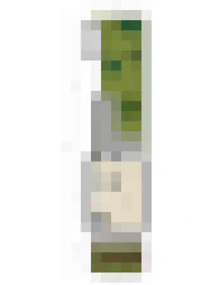 Zwanenwater 13 Nieuw-Vennep thumbnail 6