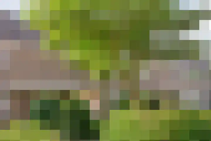 Zwanenwater 13 Nieuw-Vennep thumbnail 7