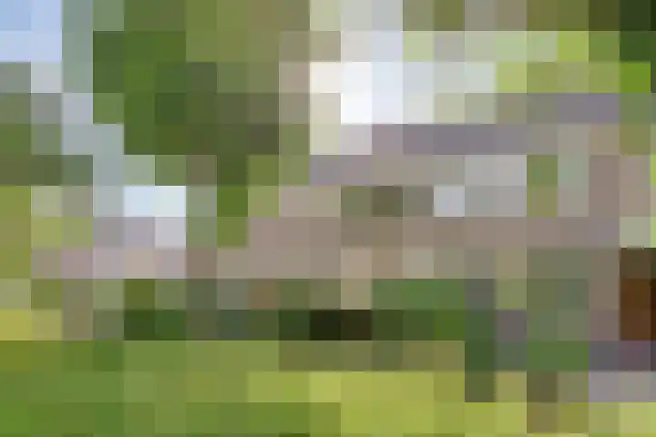 Zwanenwater 13 Nieuw-Vennep thumbnail 9