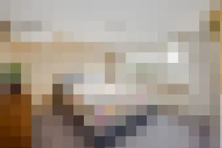 Zwanenwater 21 Boskoop thumbnail 11