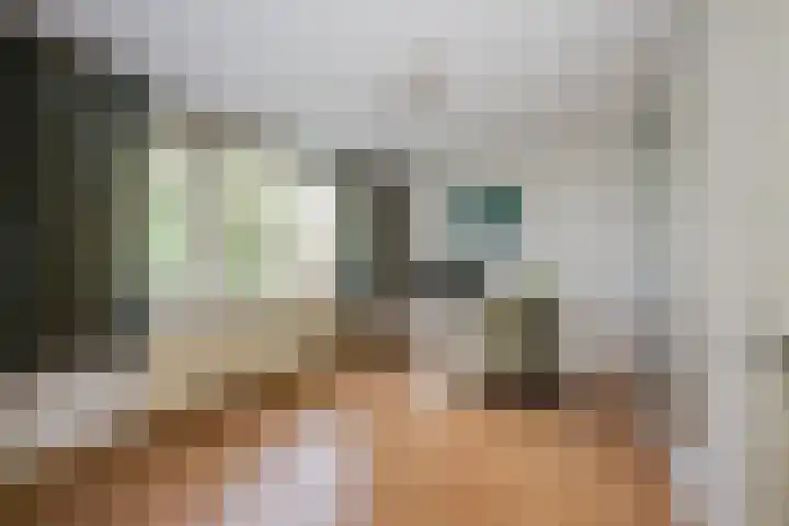 Zwanenwater 21 Boskoop thumbnail 12