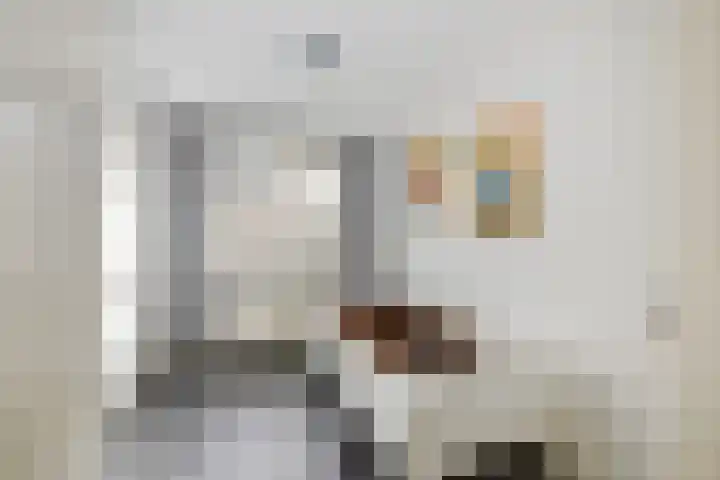 Zwanenwater 21 Boskoop thumbnail 13