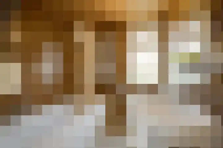 Zwanenwater 21 Boskoop thumbnail 14