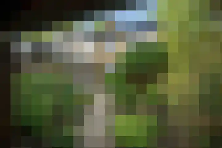 Zwanenwater 21 Boskoop thumbnail 17