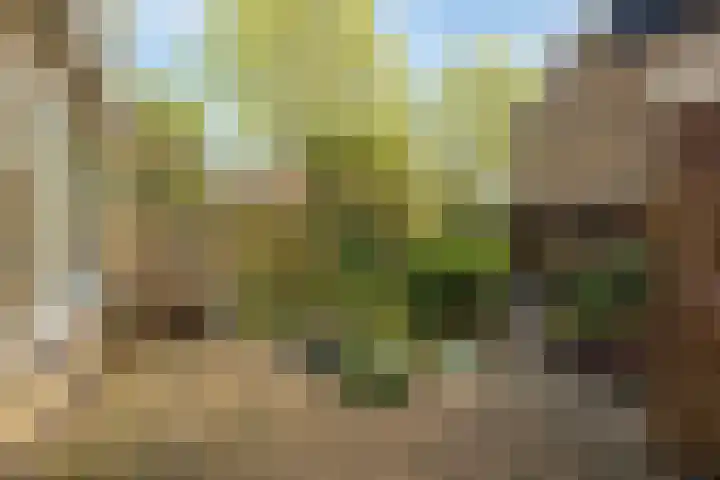 Zwanenwater 21 Boskoop thumbnail 18