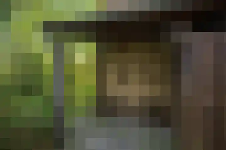 Zwanenwater 21 Boskoop thumbnail 20