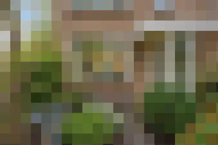 Zwanenwater 21 Boskoop thumbnail 22