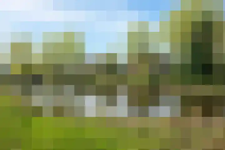 Zwanenwater 21 Boskoop thumbnail 24