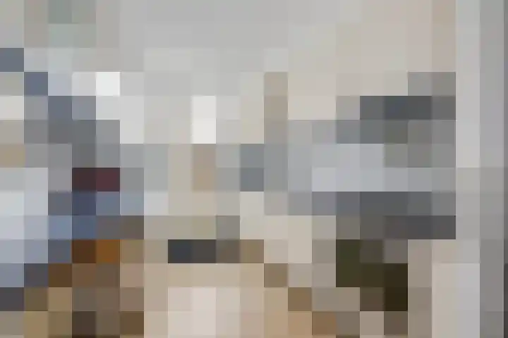 Zwanenwater 21 Boskoop thumbnail 8