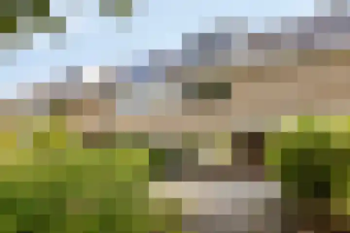 Zwanenwater 27 Nieuw-Vennep thumbnail 37