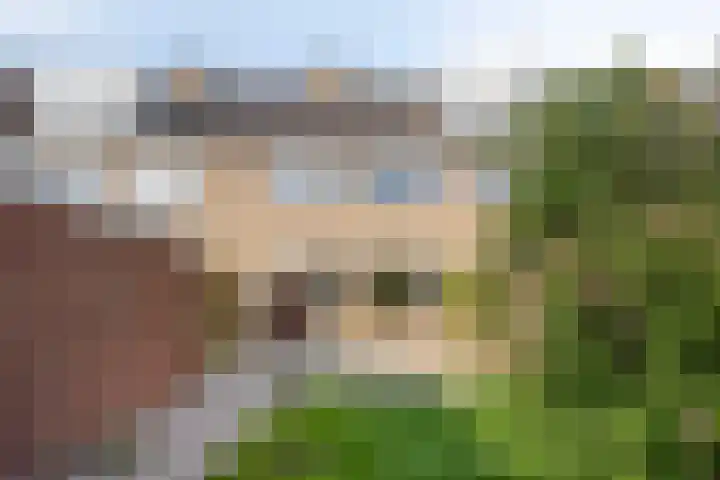 Zwanenwater 27 Nieuw-Vennep thumbnail 4