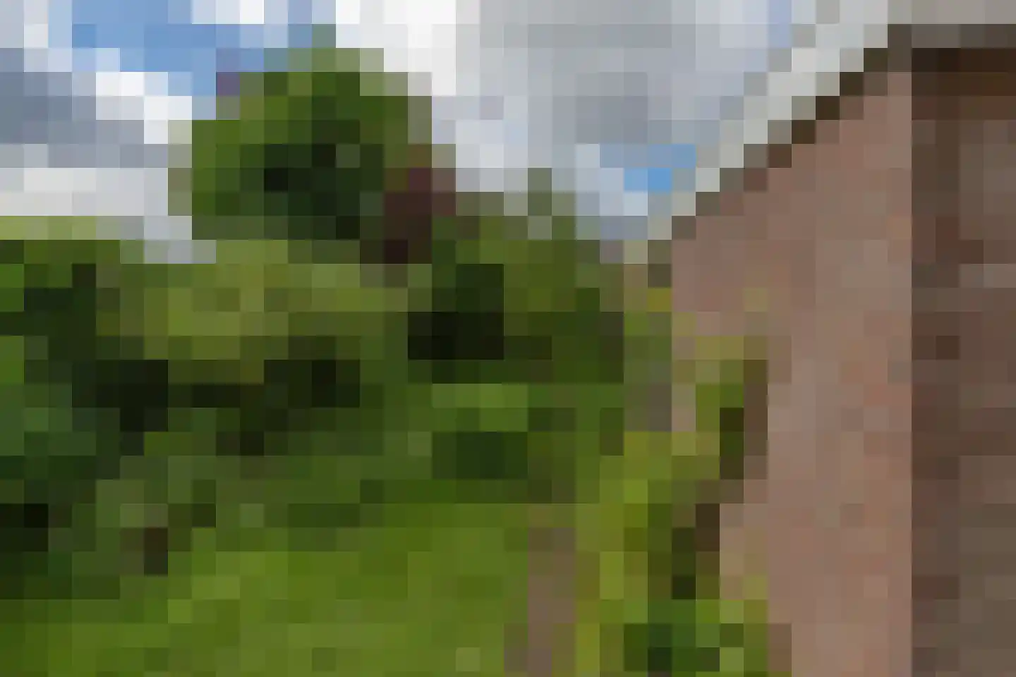 Zwanenwater 50 Nieuw-Vennep thumbnail 36