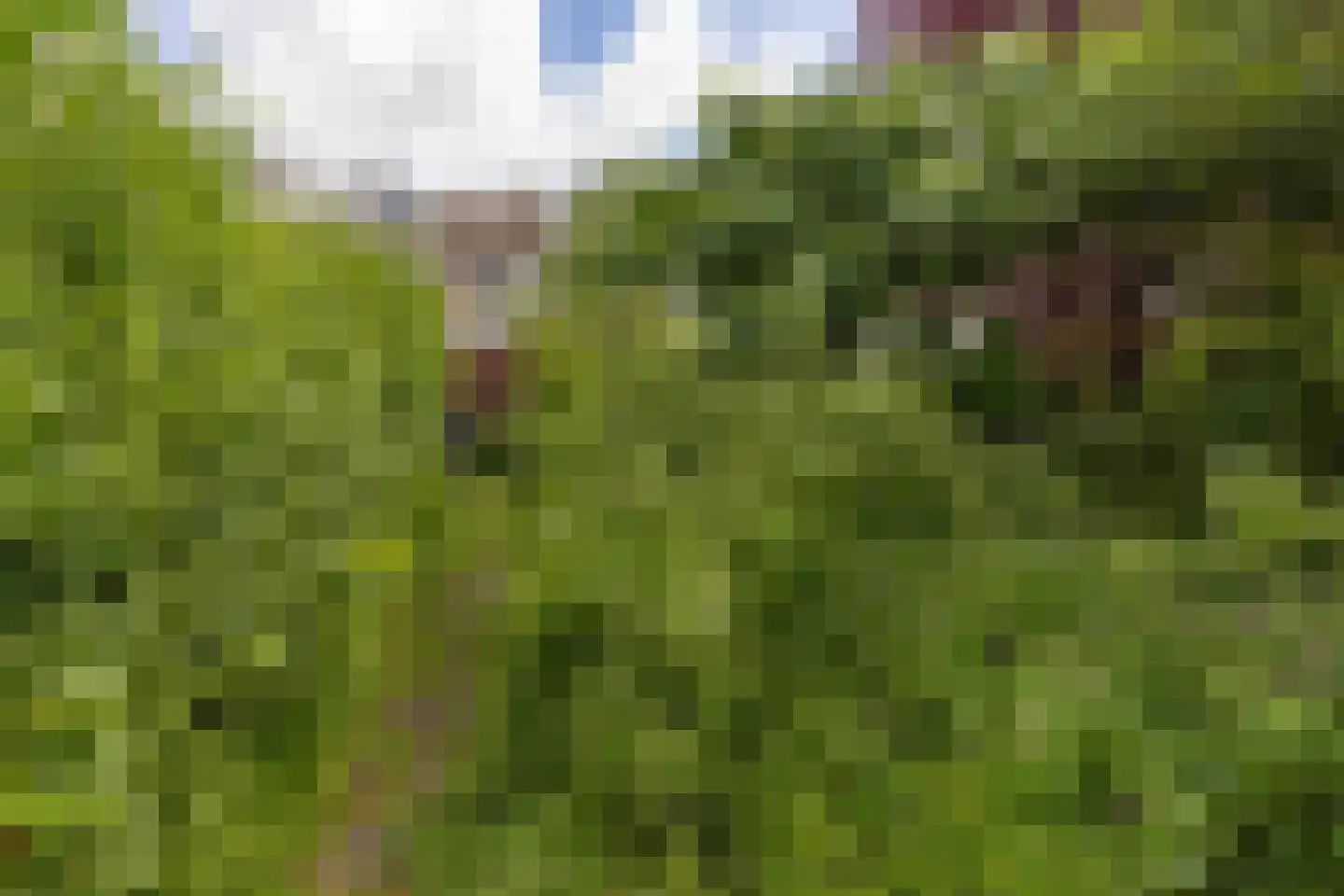 Zwanenwater 50 Nieuw-Vennep thumbnail 38
