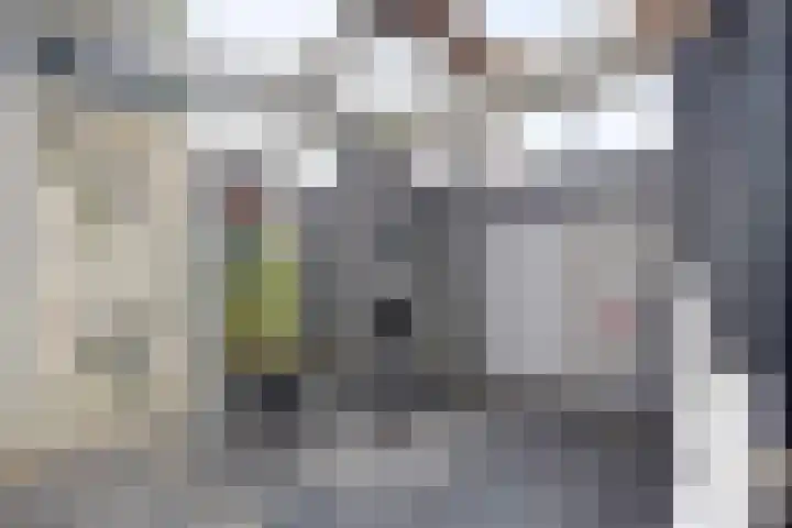Zwanenwater 6 Roelofarendsveen thumbnail 10