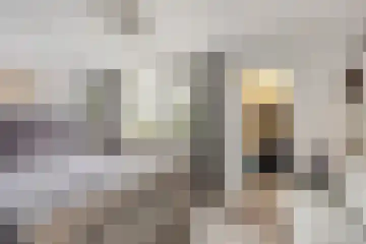 Zwanenwater 6 Roelofarendsveen thumbnail 12