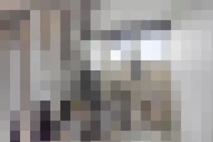 Zwanenwater 6 Roelofarendsveen thumbnail 16
