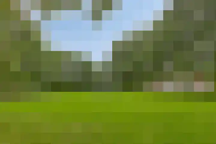 Zwanenwater 6 Roelofarendsveen thumbnail 17