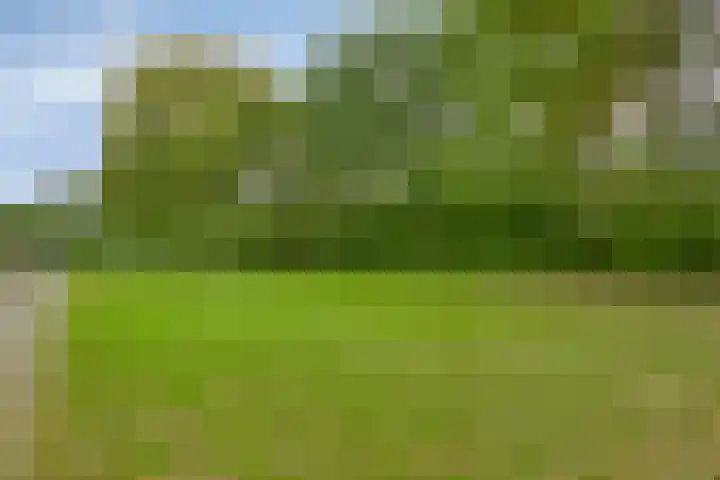 Zwanenwater 6 Roelofarendsveen thumbnail 18