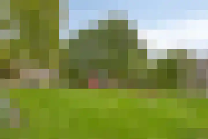 Zwanenwater 6 Roelofarendsveen thumbnail 19