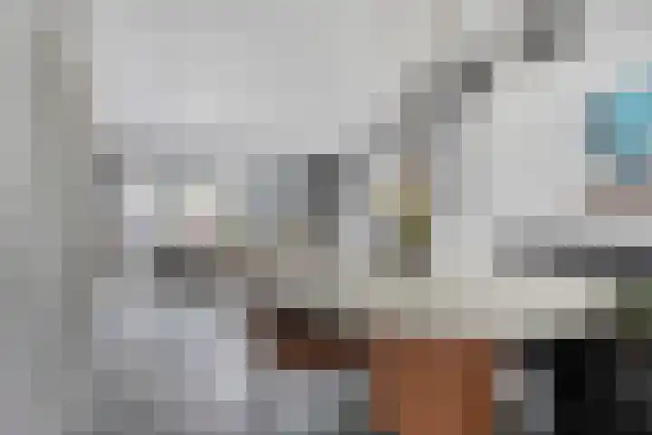 Zwanenwater 6 Roelofarendsveen thumbnail 4