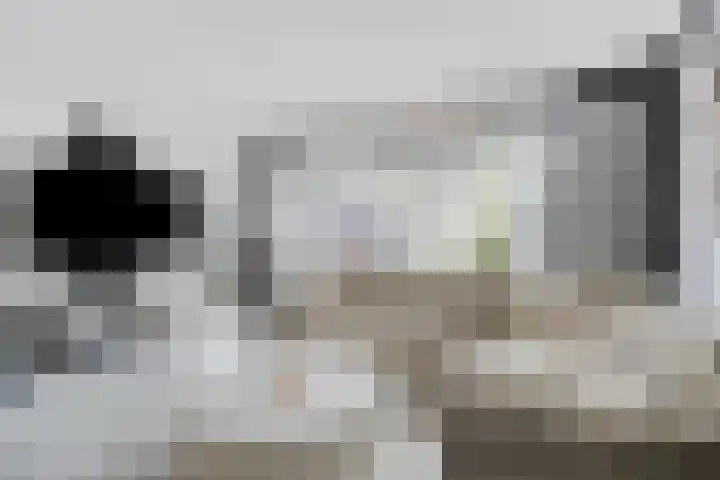 Zwanenwater 6 Roelofarendsveen thumbnail 6