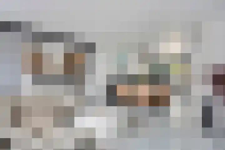 Zwanenwater 6 Roelofarendsveen thumbnail 7
