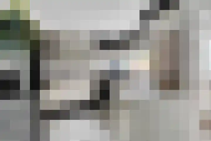 Zwanenwater 6 Roelofarendsveen thumbnail 8