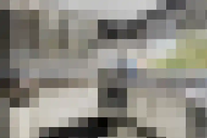 Zwanenwater 6 Roelofarendsveen thumbnail 9