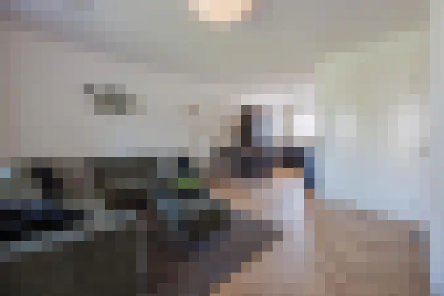 Zwanenweg 13 Tienray thumbnail 13