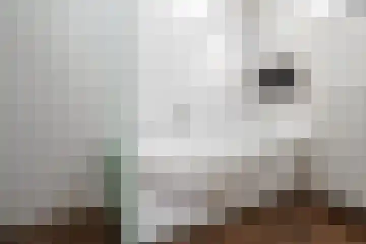 Zwanenweg 7 Daarlerveen thumbnail 11