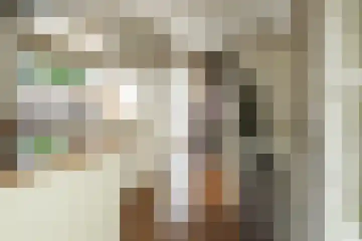 Zwanenweg 7 Daarlerveen thumbnail 13