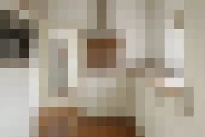 Zwanenweg 7 Daarlerveen thumbnail 14