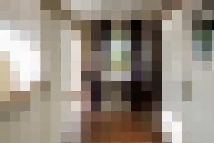 Zwanenweg 7 Daarlerveen thumbnail 16
