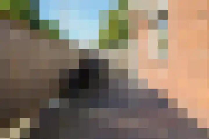 Zwanenweg 7 Daarlerveen thumbnail 31