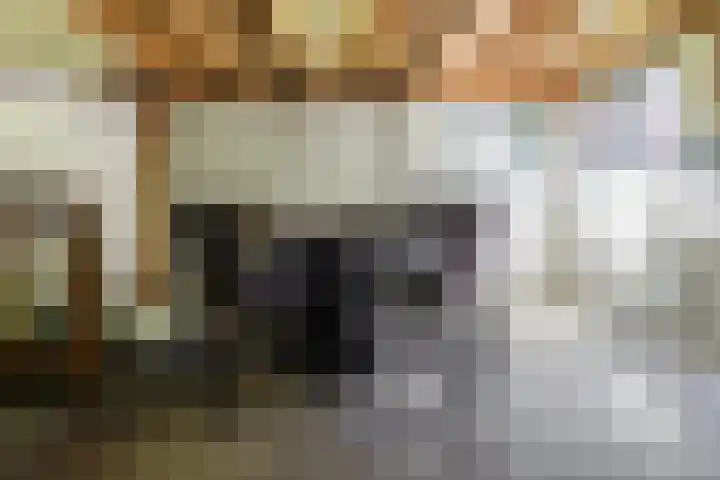 Zwanenweg 7 Daarlerveen thumbnail 35