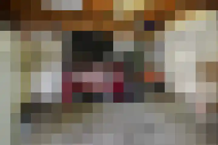 Zwanenweg 7 Daarlerveen thumbnail 36